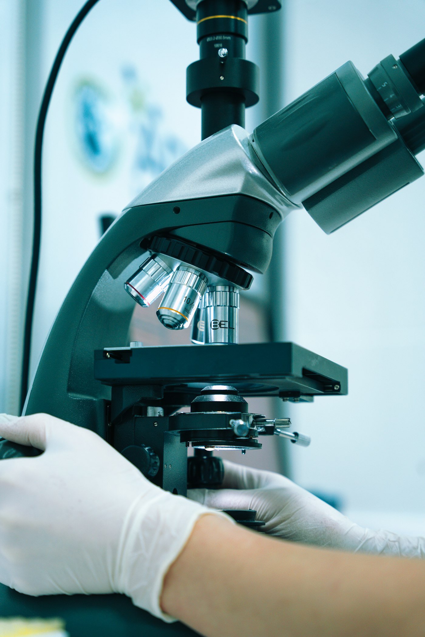Gloved hands adjusting a laboratory microscope
